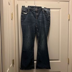 Vigoss Women's Dark Blue Denim Jeggings